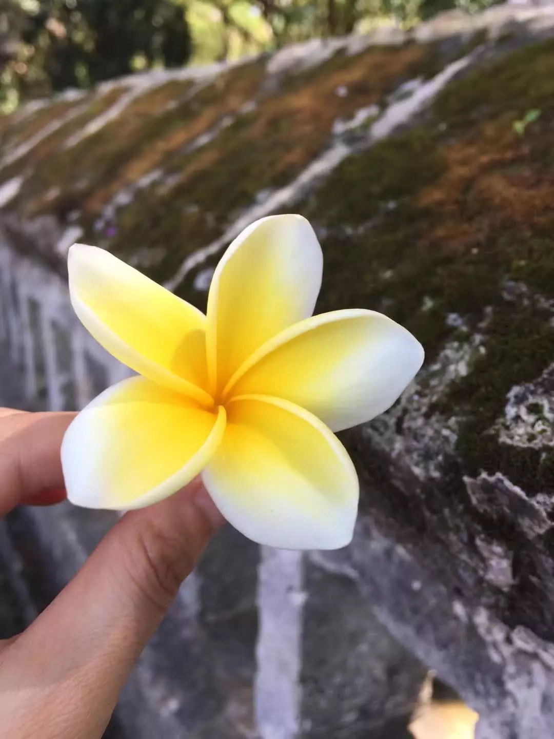 1534735036990967.jpg 6401_看图王.web.jpg