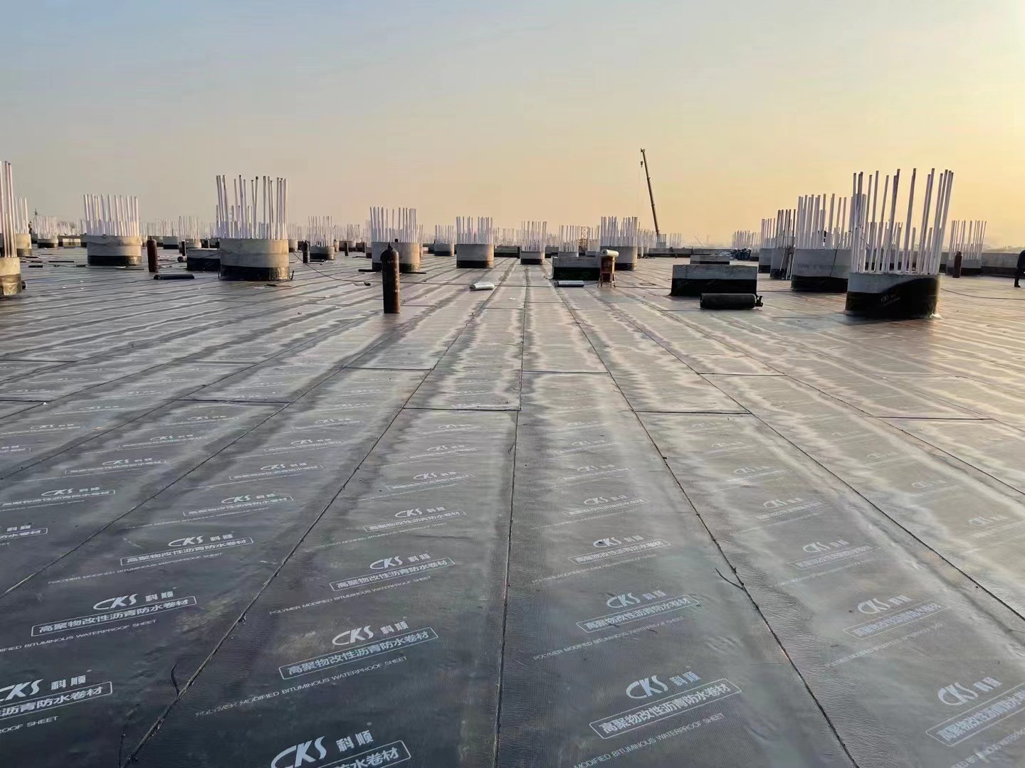 1638951347545969.jpg f0136a69be4a0f37a924ecf7c2f6c77.jpg